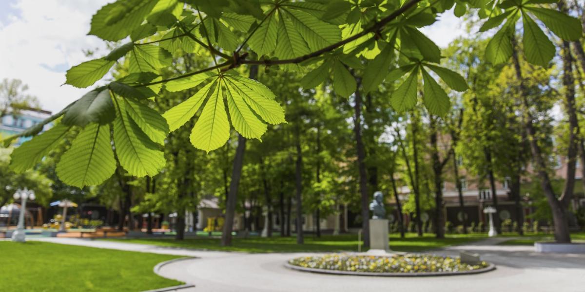 В московских парках нанесли разметку для социальной дистанции