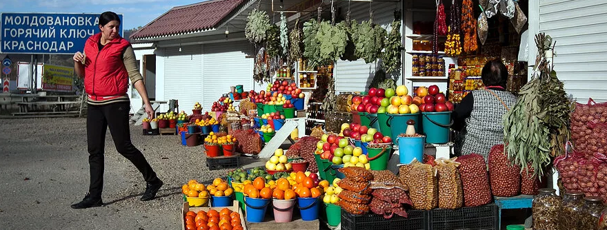 На Кубани заработали 92 придорожные ярмарки