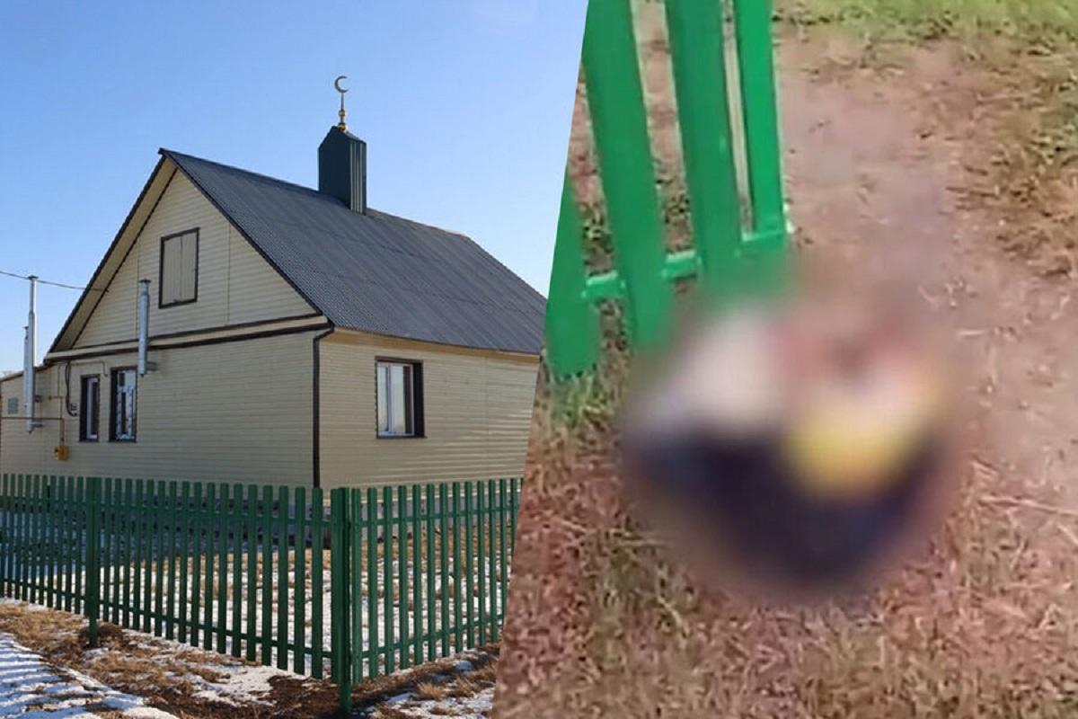 Неизвестные подбросили свиную голову к порогу мечети под Челябинском