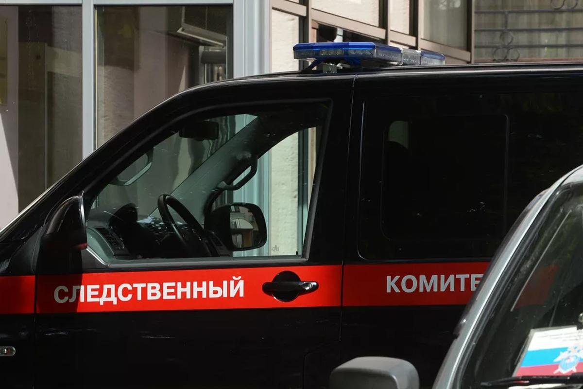 Не только живодерство: владельцев зоогостиницы в Чехове обвинили в мошенничестве