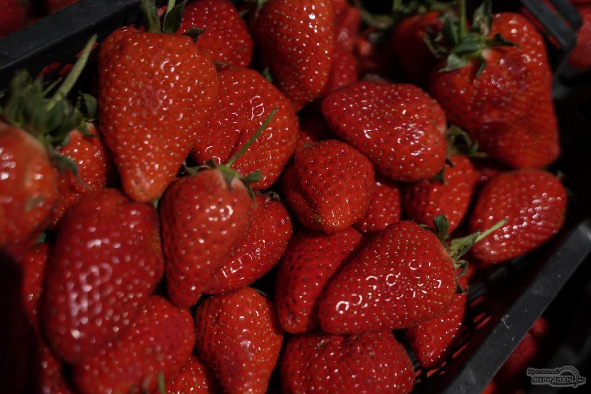 169 тонн импортной клубники поступило в Екатеринбург
