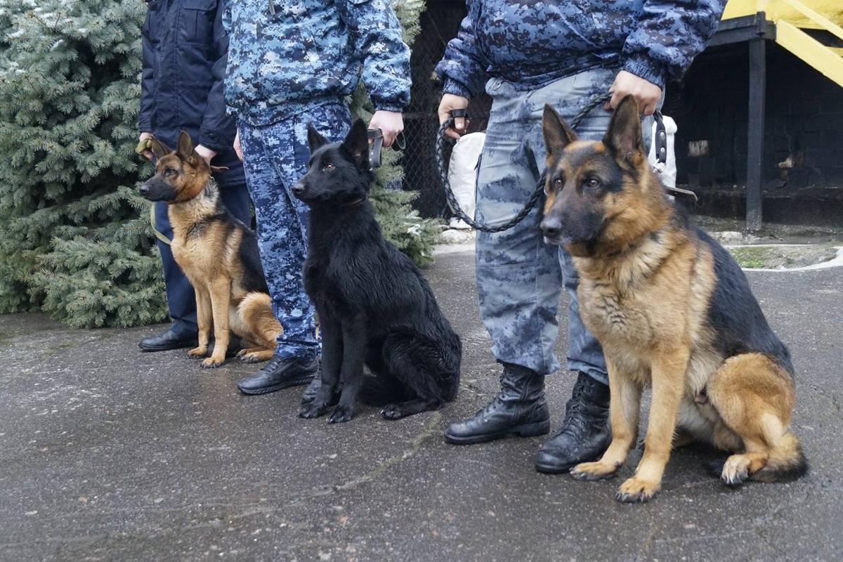 В Алтайском крае подвели итоги работы системы исполнения наказаний за 2025 год