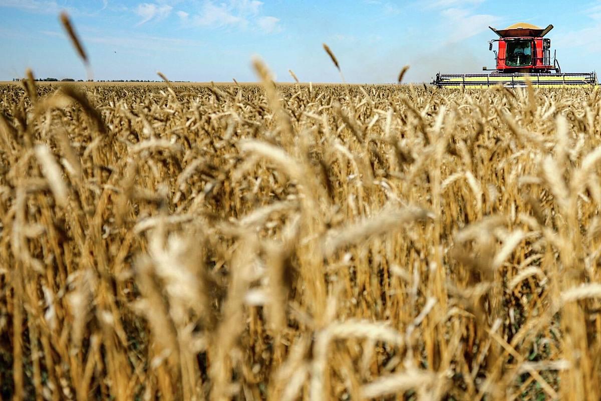 Иркутская область станет первым регионом, где пройдет Всероссийский агродиктант
