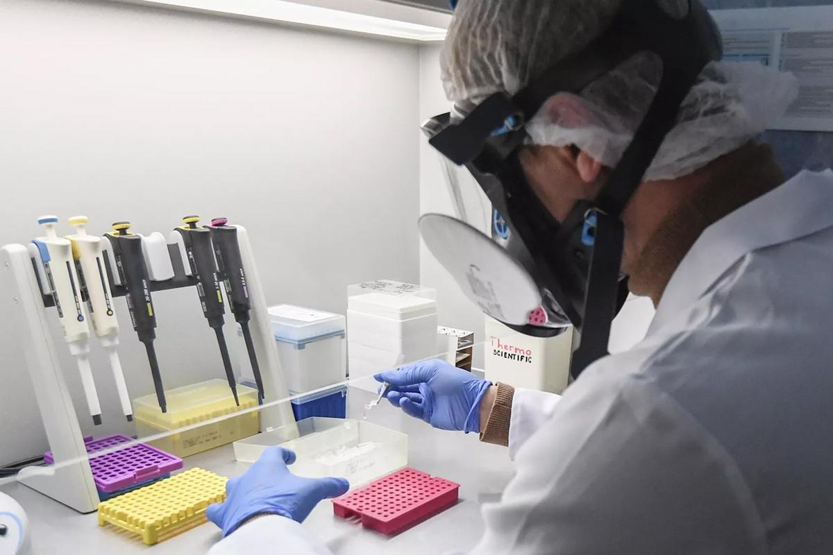 Китайские исследователи пересадили человеческие нейроны мышам для борьбы с депрессией