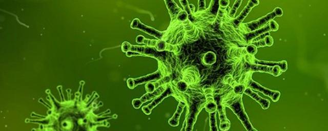 Первые случаи заражения «южноафриканским» штаммом коронавируса выявили в США