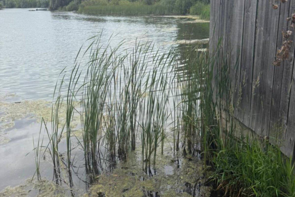 Специалисты Минэкологии Татарстана зафиксировали новые нарушения доступа к реке Казанке