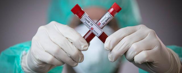 В Севастополе обнаружены еще 58 заразившихся коронавирусом