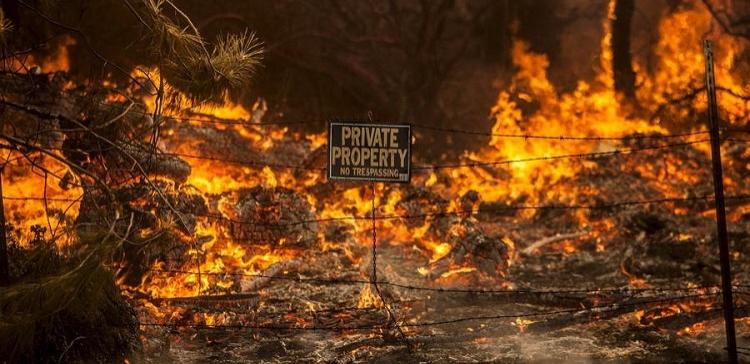 В Калифорнии введен режим чрезвычайного положения из-за лесных пожаров