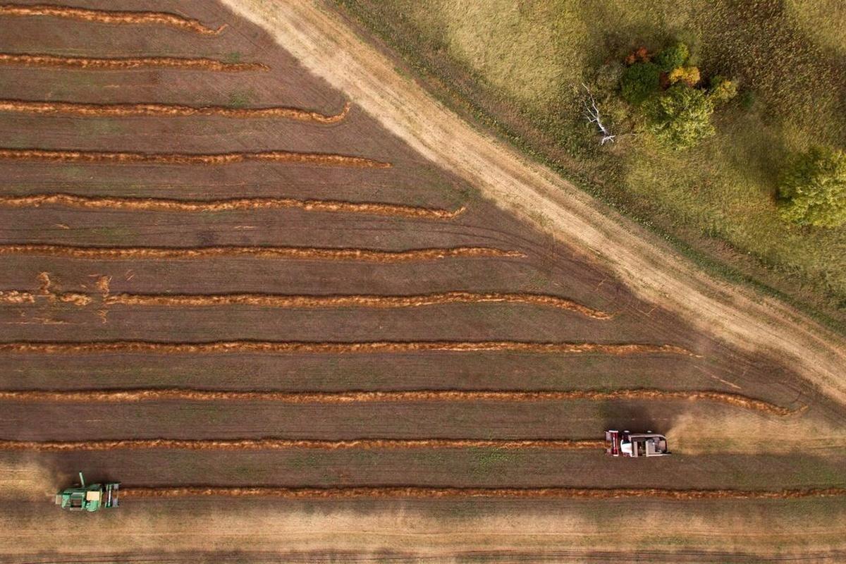 В Ингушетии заявили о намерении активно развивать экспорт продовольствия