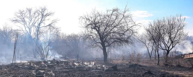 Под Нижним Новгородом потушен масштабный пожар