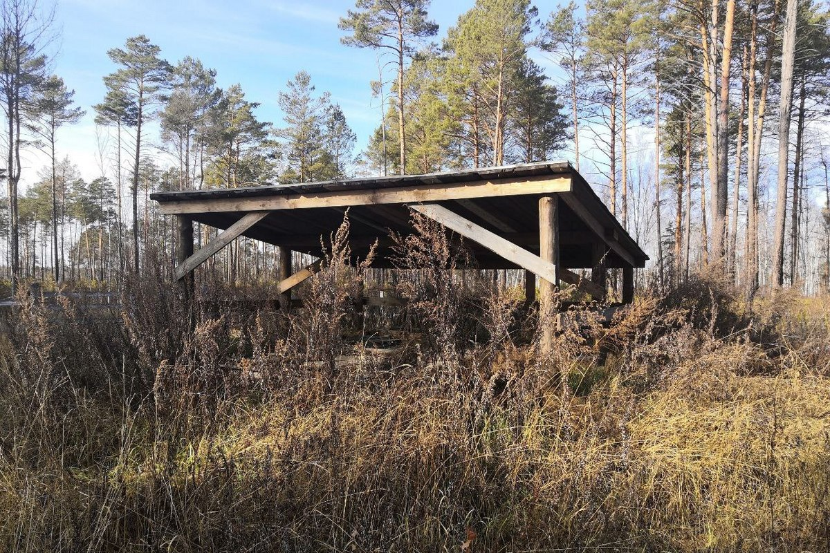 В Амурской области ликвидируют 14 бесхозяйных скотомогильников до ноября