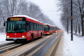 На Сахалине возобновили движение межмуниципальных автобусов