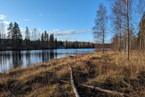 В Вологодской области завершили подготовку к весеннему лесокультурному сезону