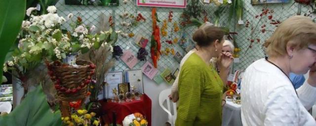 В Сарпинском районе Калмыкии откроется клуб цветоводов-любителей