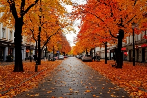 Вильфанд назвал октябрьскую погоду в Москве аномальной