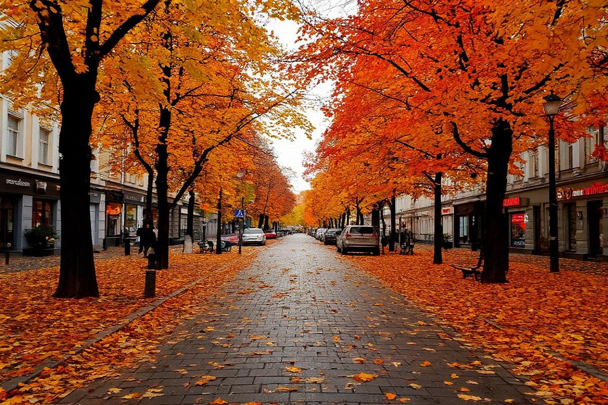 Вильфанд назвал октябрьскую погоду в Москве аномальной