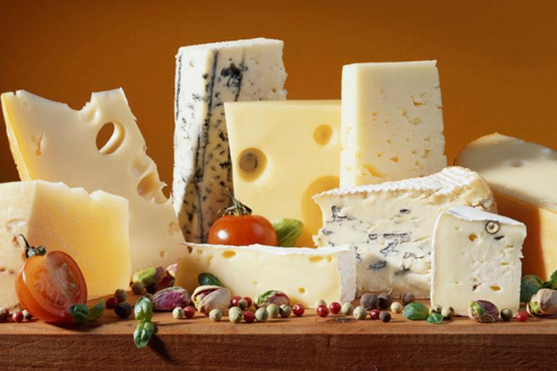 Французы вложат 1,3 млрд рублей в производство сыров под Калугой