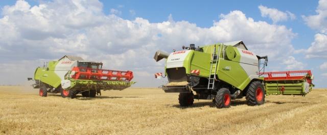В Крыму аграрии убрали более 20% ранних зерновых культур