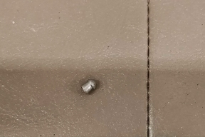 В Пряже неизвестный расстреливает кошек из пневматического оружия