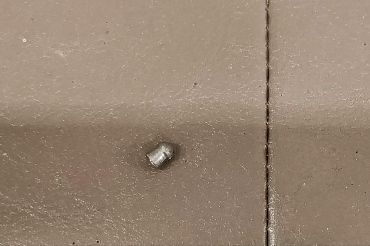 В Пряже неизвестный расстреливает кошек из пневматического оружия