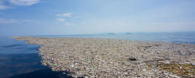 Гигантское мусорное пятно в Тихом океане начало заселяться прибрежными организмами
