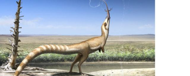 Палеонтологи открыли динозавра со «спецназовской» окраской