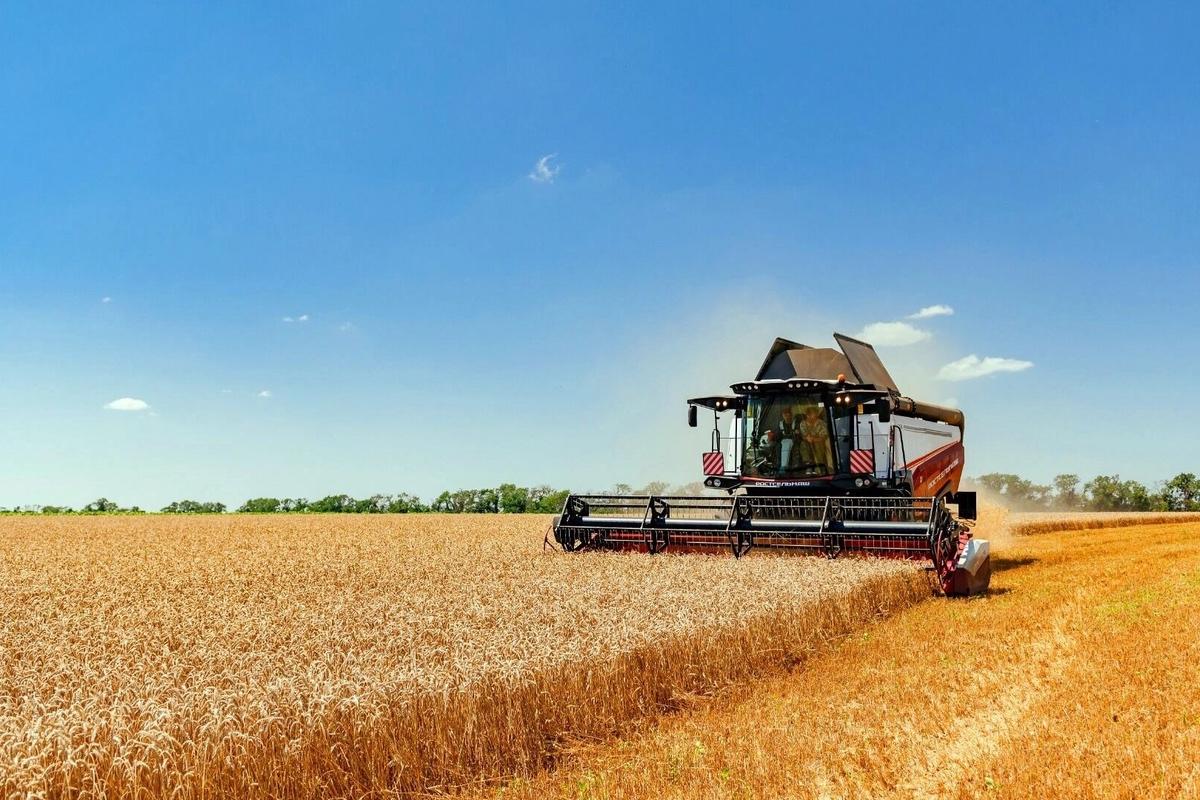 Весенние заморозки обошлись аграриям в 200 миллионов рублей