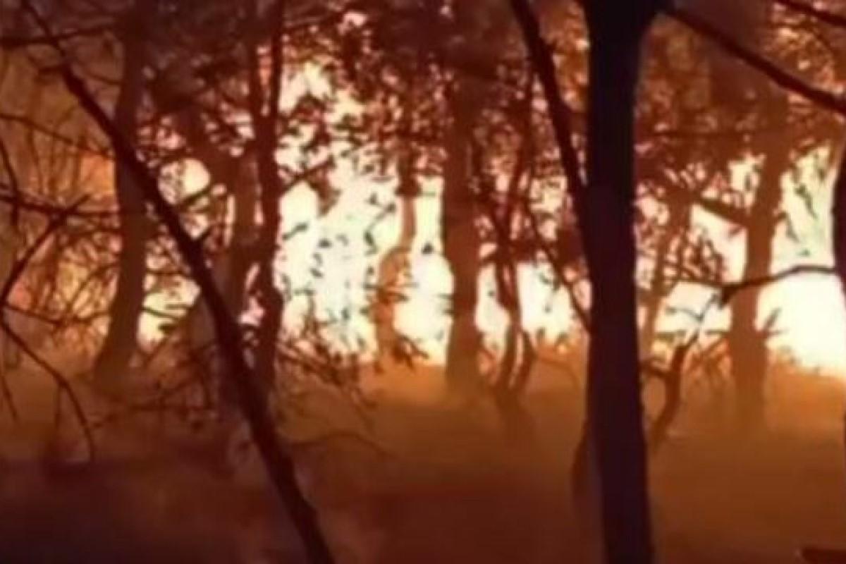 Более четырех часов потратили на тушение лесного пожара возле Феодосии сотрудники МЧС