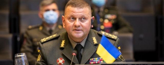 Замглавы Минобороны Украины Маляр опровергла информацию о гибели главкома ВСУ Залужного