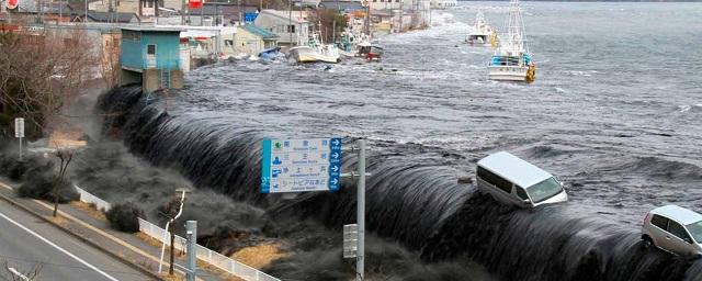 В Японии зафиксировали цунами высотой 1,2 метра