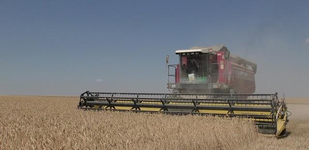 Аграрии Вологодской области получат рекордную сумму в рамках господдержки   