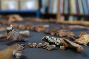 В США в аэропорту задержали мужчину, который вез человеческие кости для проведения ритуала