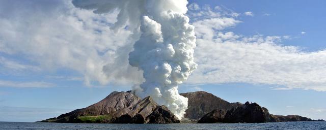 В результате извержения вулкана в Новой Зеландии погиб один турист