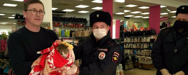 Полиция в Рязани спасла закрытого в магазине кота