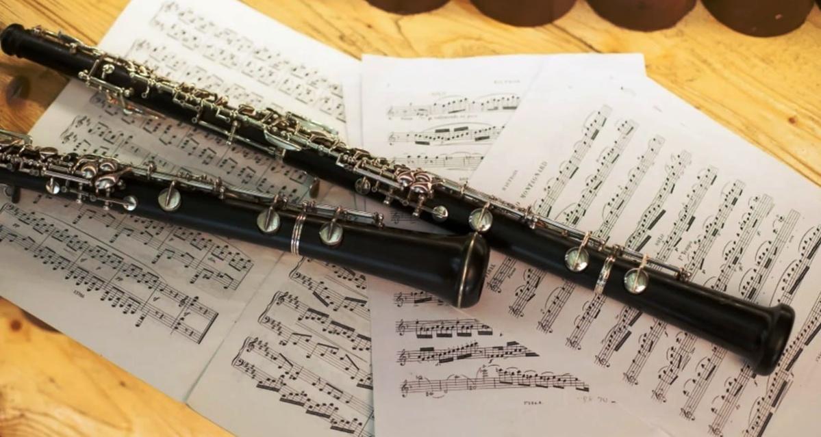 Воспитанница ДШИ из Городского округа Пушкинский стала победительницей областного конкурса