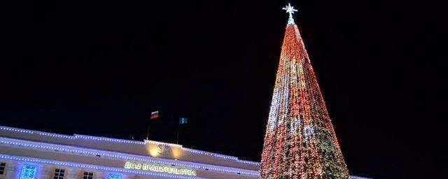 В Ульяновске 12 января пройдет закрытие главной елки