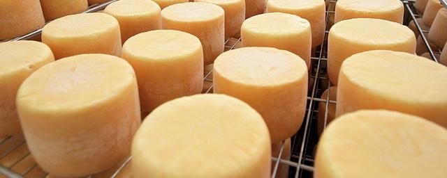 В Череповце планируют построить завод по производству сыров