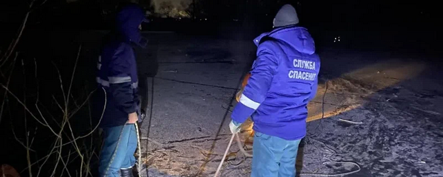 В Ульяновске спасатели сняли детей с треснувшего льда на реке