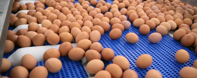 Производители заявили о возможном дефиците яиц