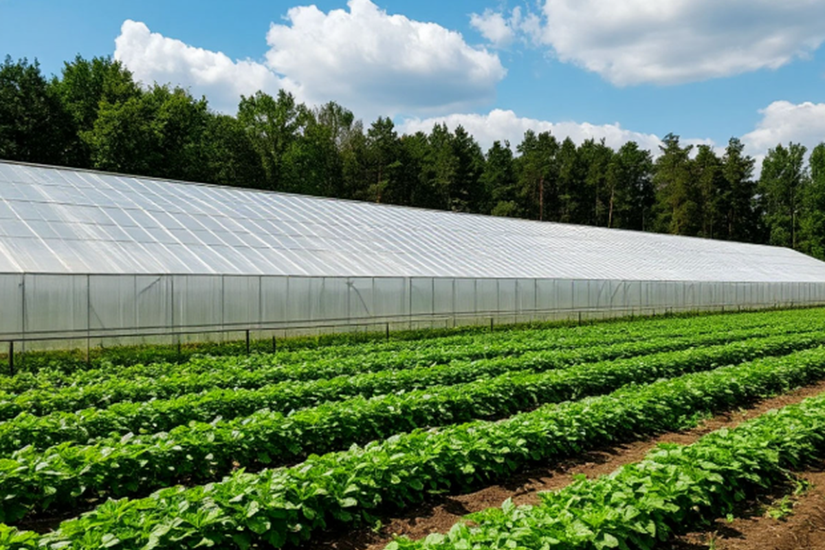 В Мордовии реализуют федеральный проект «Кадры в агропромышленном комплексе»