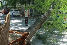 В Волгограде устраняют последствия непогоды