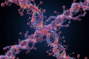 У планктона Байкала ученые нашли еще 47 CRESS-подобных геномов