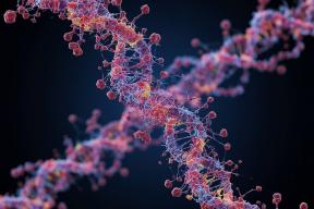 У планктона Байкала ученые нашли еще 47 CRESS-подобных геномов