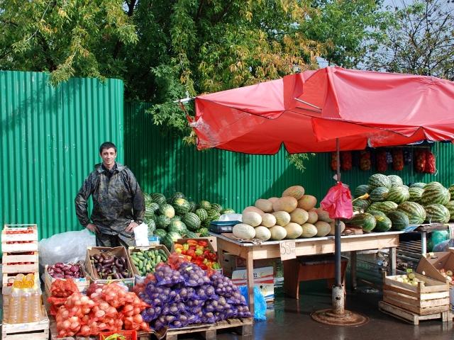 В Ульяновске определили торговые площадки для садоводов