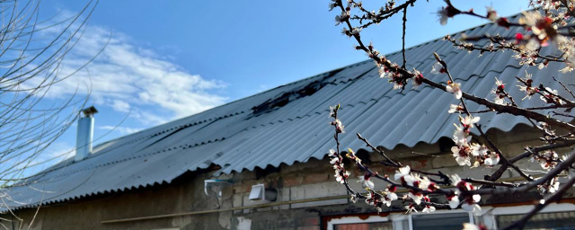 Губернатор Белгородской области Гладков: В Журавлевке повреждены 14 домовладений