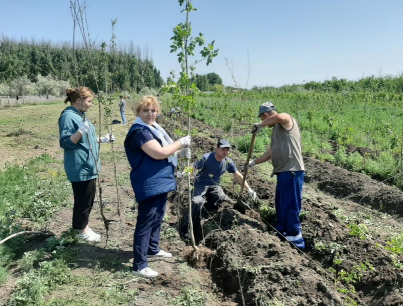 В 2023 году сотрудники приволжской железной дороги высадят в Астрахани около 4,5 тысяч деревьев