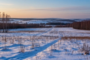 До шести лет за бытовки: воронежец ответит за махинацию с землей в престижном селе