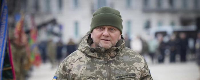 BBC: главком ВСУ Залужный рискует стать фигурантом уголовного дела на Украине