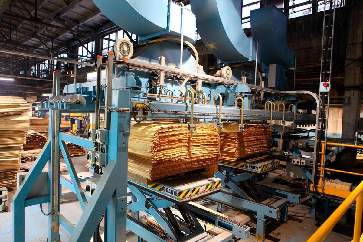 Новое деревоперерабатывающее производство в Костромской области планирую запустить в августе 2025 года