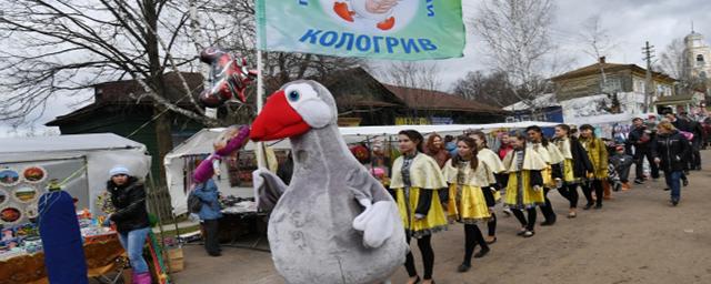 Кологривский комплекс «Гусиная столица» выиграл грант Минсельхоза России на 10 млн рублей